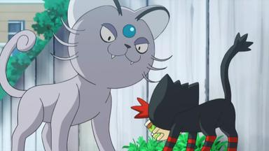 Pokémon 20x7
