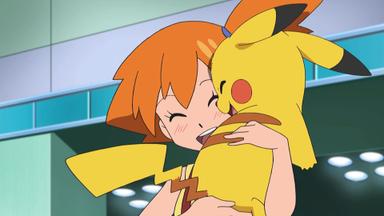 Pokémon 20x42
