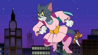 Las aventuras de Tom y Jerry 2x2