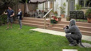 Wilfred 2x2