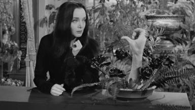La familia Addams 1x8