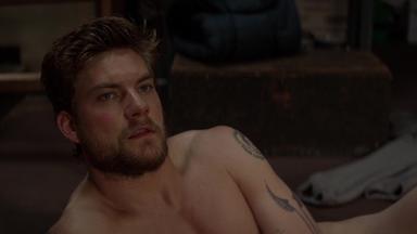 Animal Kingdom 3x5