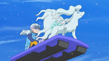 Pokémon 21x17