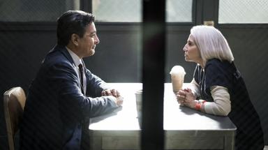 Animal Kingdom 3x1