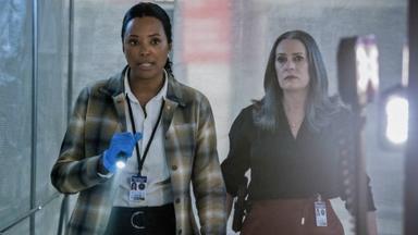 Mentes criminales 16x2