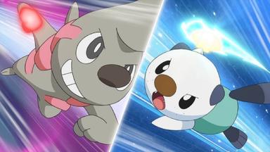 Pokémon 14x31