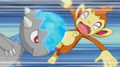 Pokémon 10x15