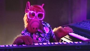 ALF 1x8