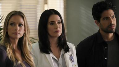 Mentes criminales 12x3