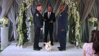 Brooklyn Nine-Nine 8x8
