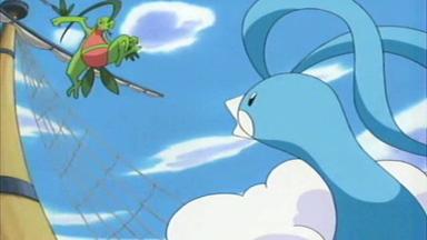 Pokémon 8x9