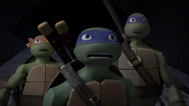 Las Tortugas Ninja 3x24