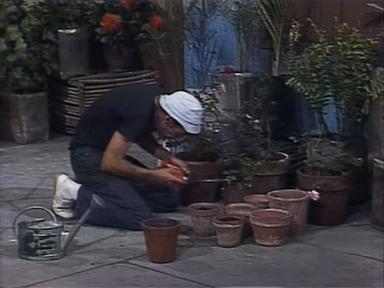 El Chavo del Ocho 6x9