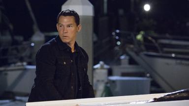 Animal Kingdom 1x5