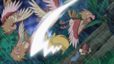 Pokémon 12x36