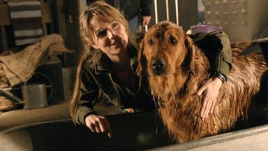 Smallville 4x14