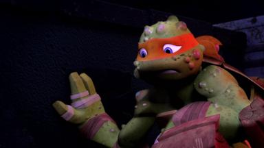 Las Tortugas Ninja 2x5