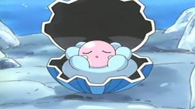 Pokémon 8x1