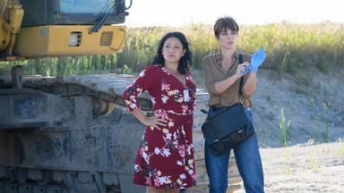 La forense 2x2