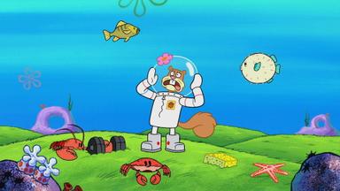 Bob Esponja 11x5