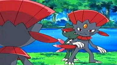 Pokémon 9x39