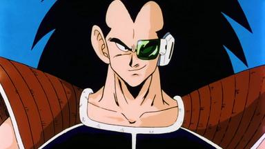 Dragon Ball Z 1x1