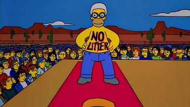 Los Simpson 7x24
