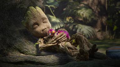 Yo soy Groot 2x1