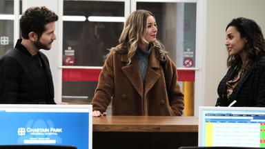 The Resident 4x8