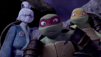 Las Tortugas Ninja 5x8