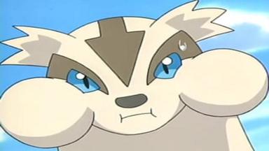 Pokémon 8x20