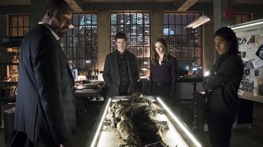 The Flash 1x19