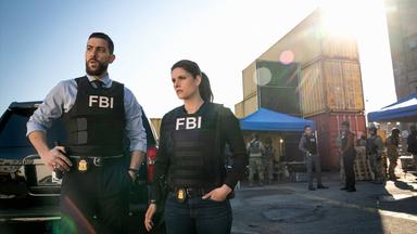FBI 3x12