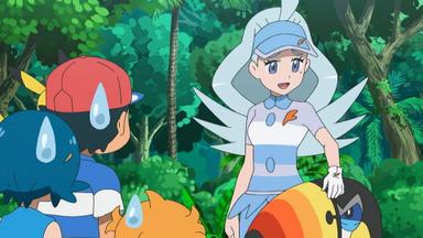 Pokémon 22x18