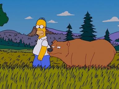 Los Simpson 15x5
