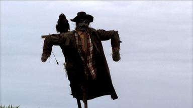 Fringe 2x2
