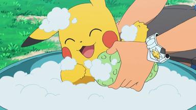 Pokémon 21x4