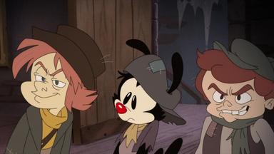 Animaniacs 2x25