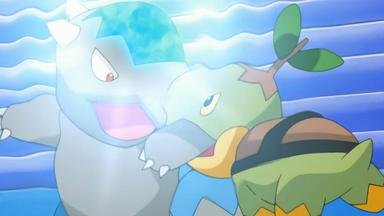 Pokémon 10x16