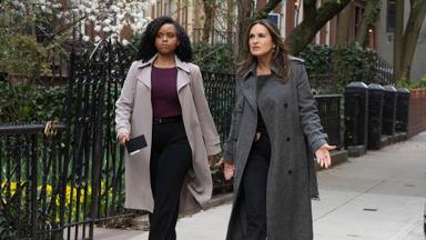 Ley y orden: Unidad de Víctimas Especiales 26x22