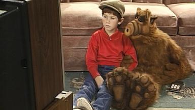 ALF 1x1