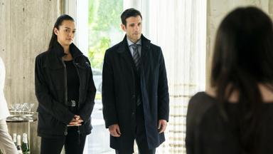 FBI: Internacional 3x12