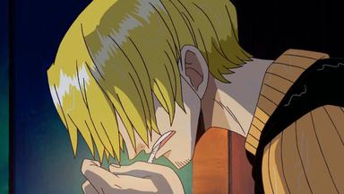 One Piece 8x253