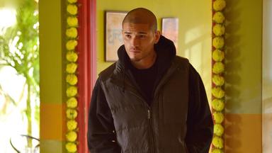The Strain 2x4