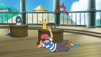 Pokémon 20x28
