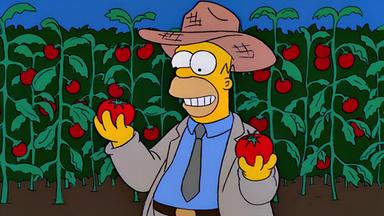 Los Simpson 11x5
