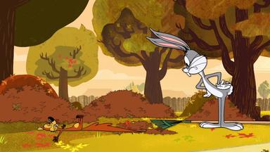 The New Looney Tunes 1x6
