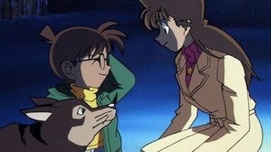 Detective Conan 1x266