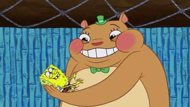 Bob Esponja 11x13