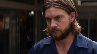 Animal Kingdom 5x8